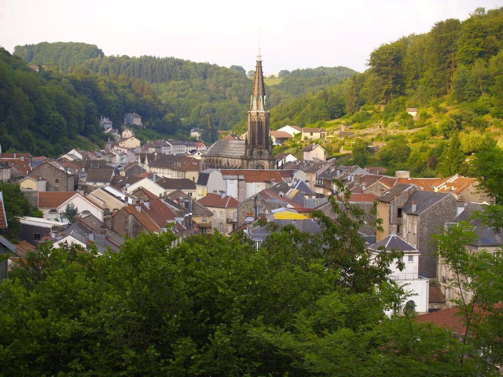 Aux Studios Du Parc Plombières-les-Bains Eksteriør billede